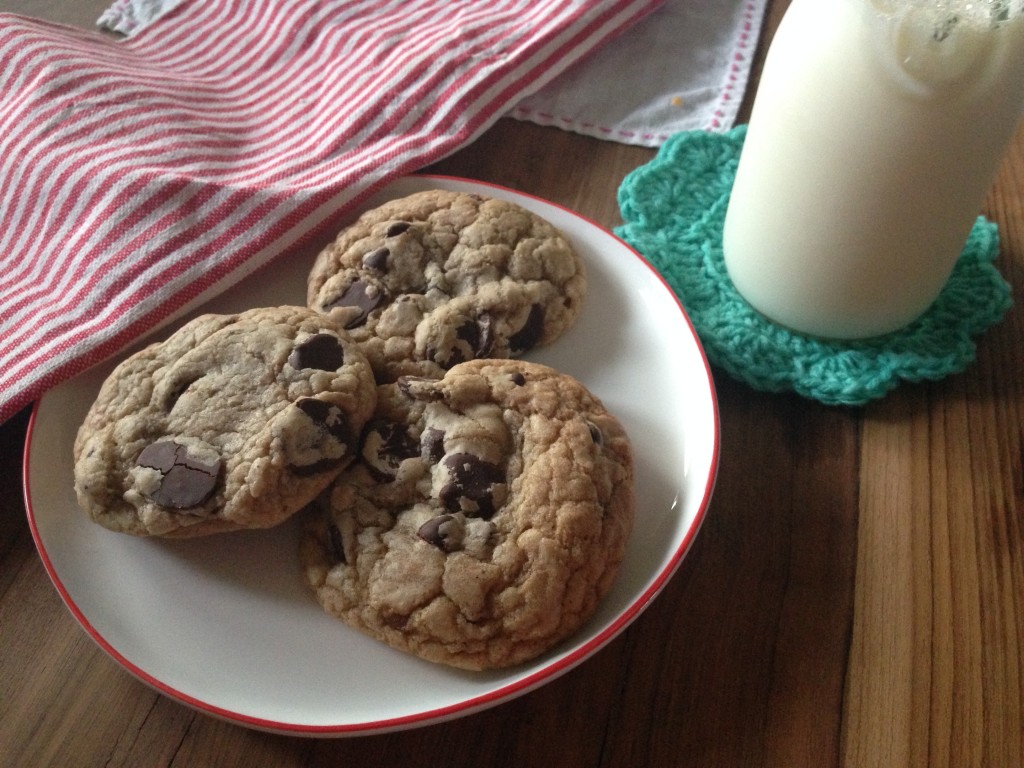 Kids Chocolate Chip Cookies  America's Test Kitchen Recipe